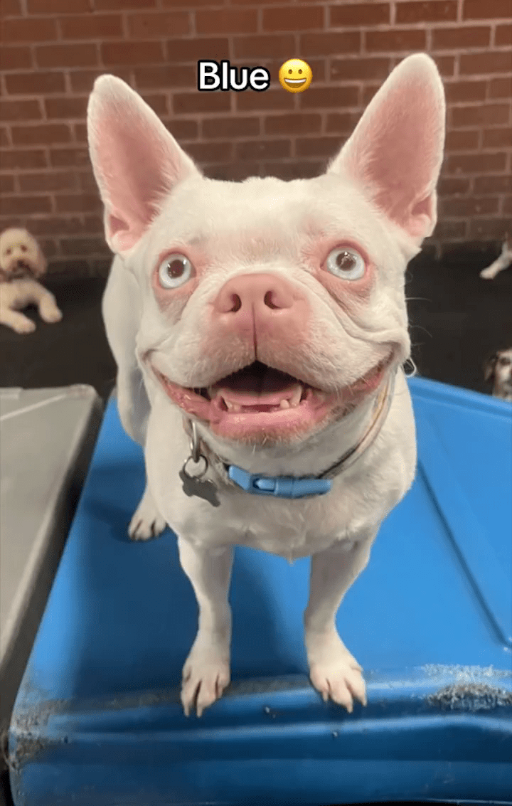 笑脸_表情_宝宝