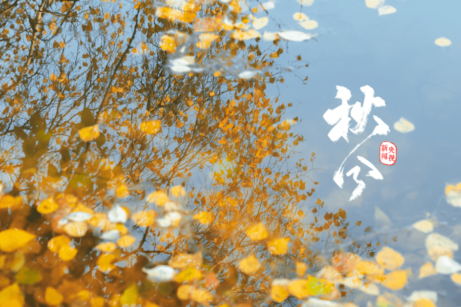 今日秋分：风清菊黄秋期半，蟹肥谷满稻飘香水始月光天气 