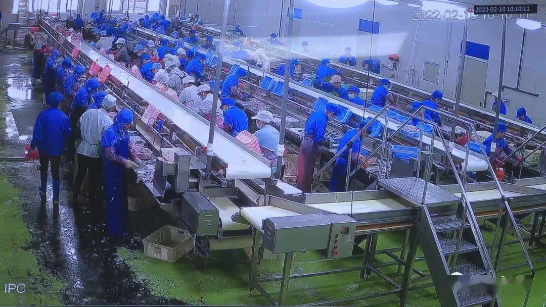 走进位于东山县西埔镇的漳州峰雷食品有限公司的生产车间内,机器隆隆