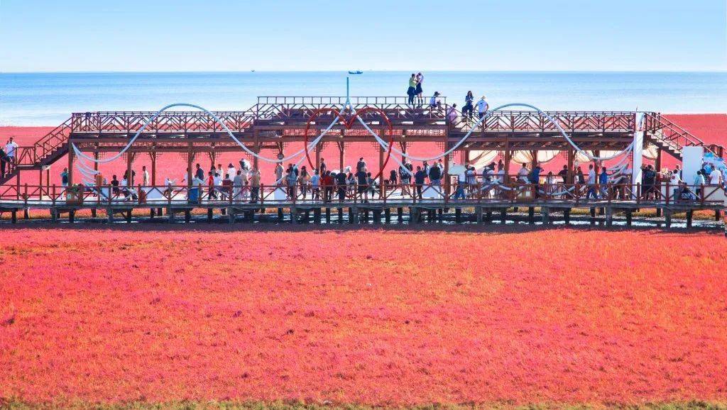 盘锦红海滩景区门票图片