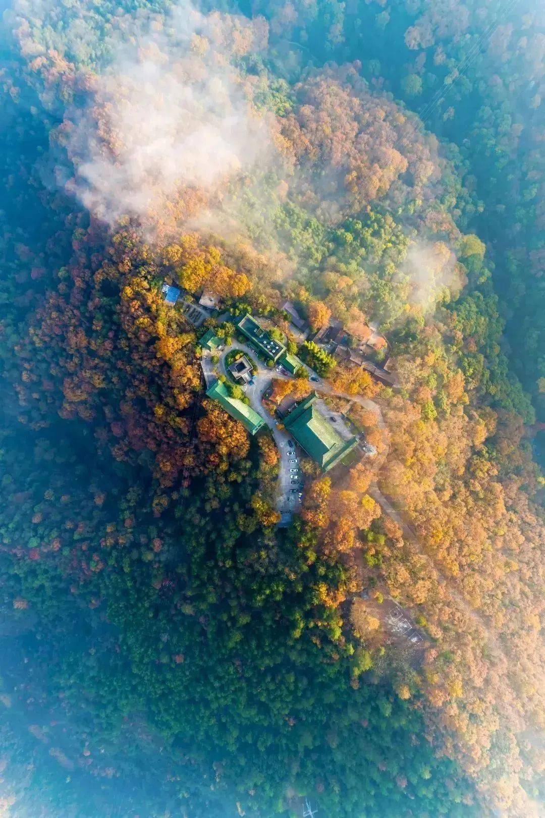 去看看秦巴山区这条自驾线路的绝美秋色!