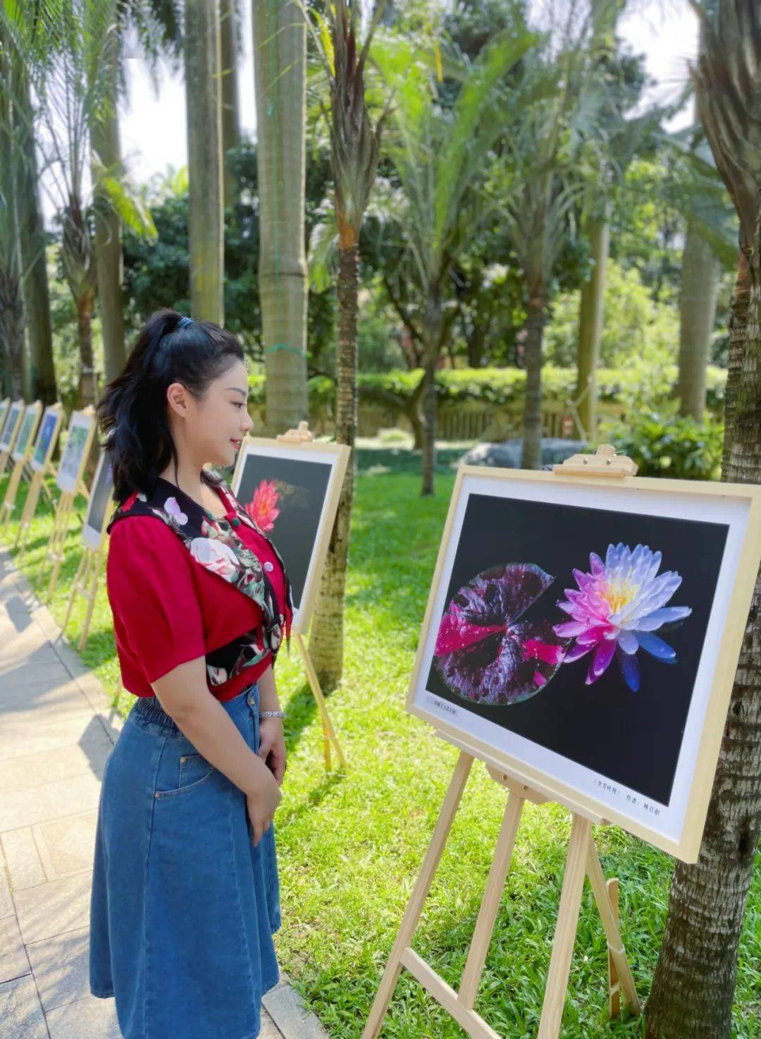 免费花展又来咯在秋天去感受睡莲的浪漫