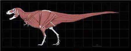 恐龙复原图——科学与艺术的杰作_赵闯_古生物_汪筱林