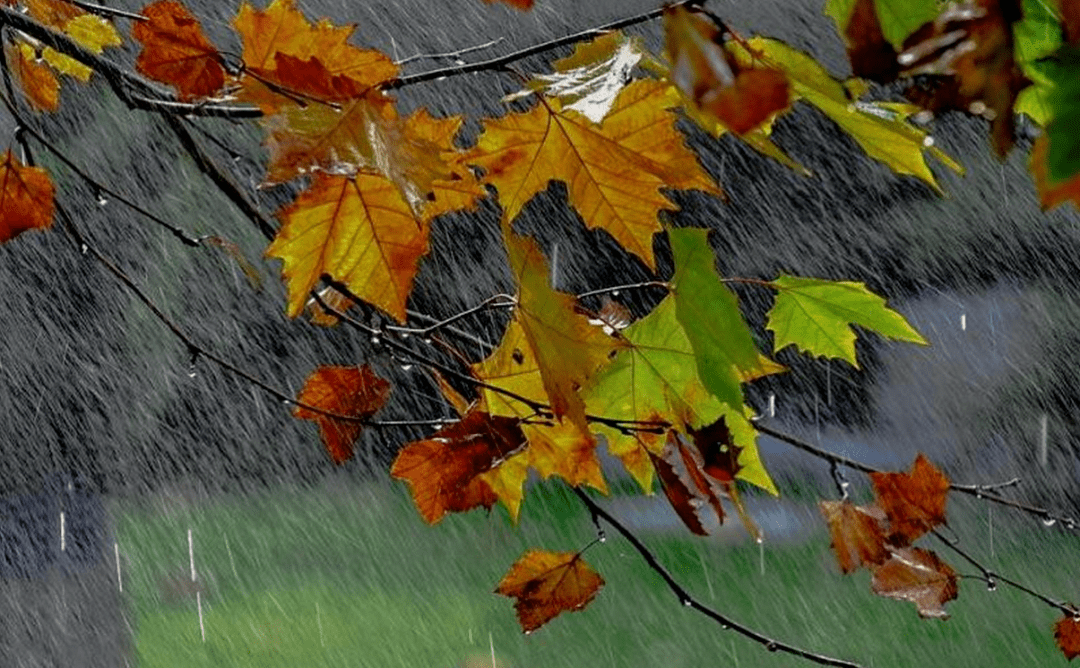 秋风秋雨愁煞人秋瑾图片