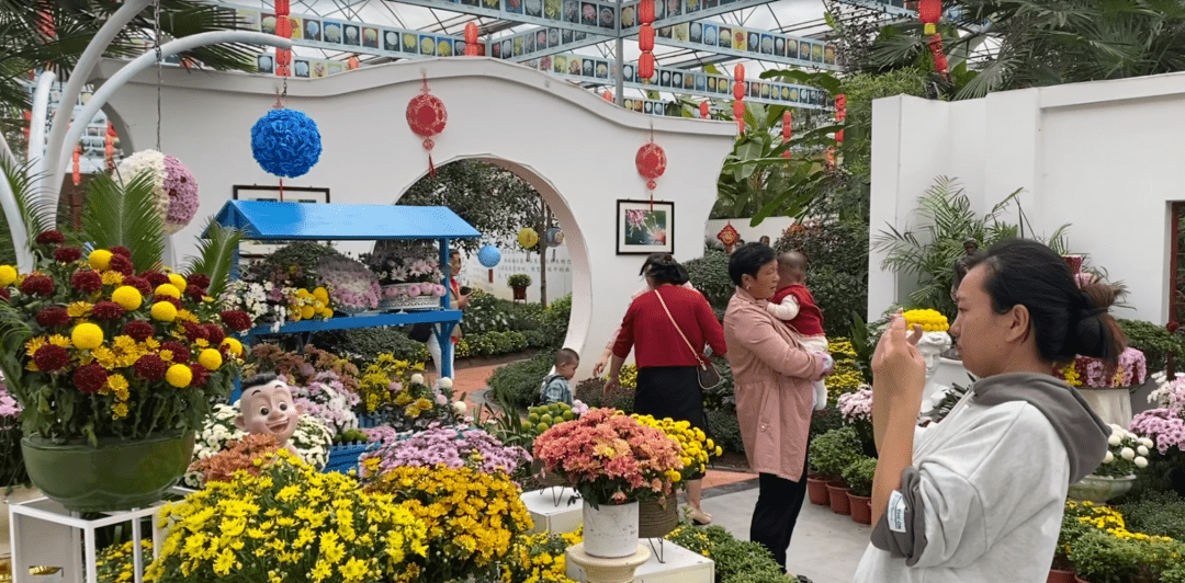 香人家2023年国际精品菊花展暨菊花文化节开幕,来自麻城及周边的游客