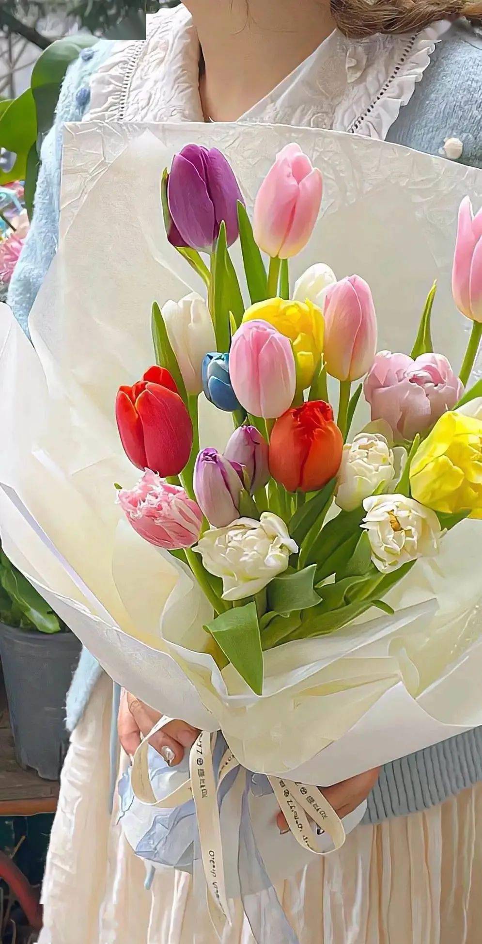 壁纸| 好看的ins风手机锁屏壁纸 676767