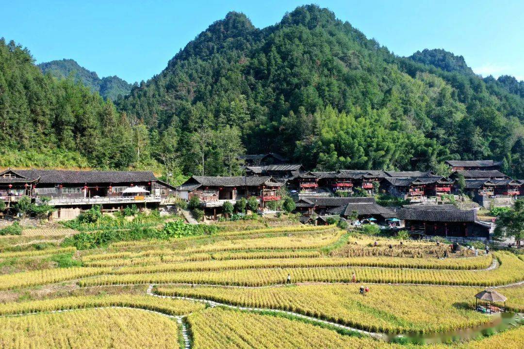 宣恩彭家寨七大文旅活动嗨翻小长假!_旅游_参赛_景区