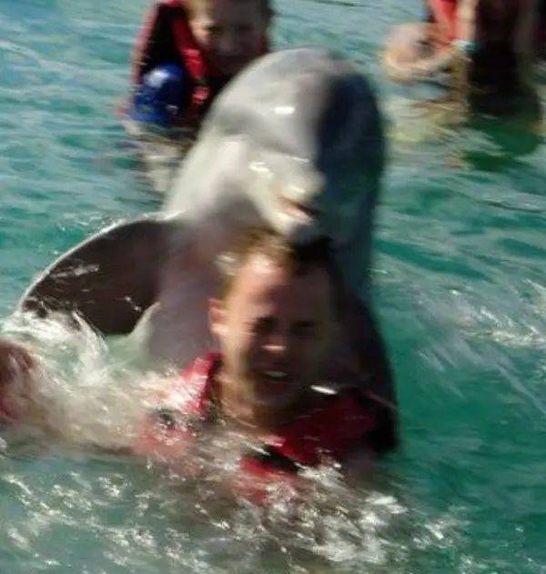 海豚其实根本不可爱，已有许多女性被海豚性侵！