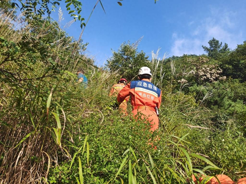 青岛好人丨女驴友爬山迷路被困一夜，众人接力救她下山 救援 登山 人员