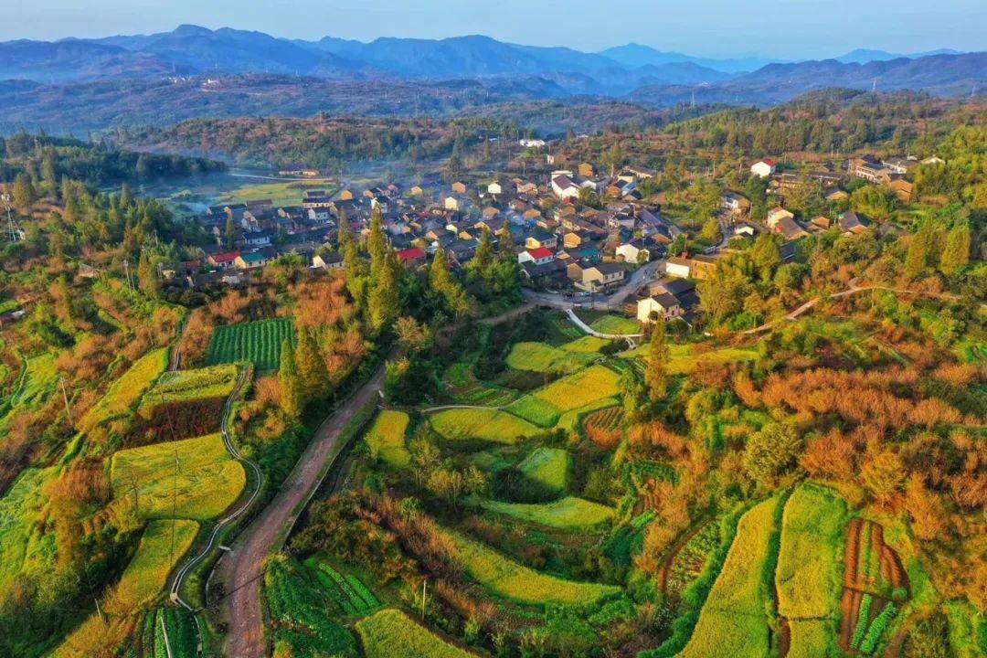 余姚"city walk"指南丨大岚镇:茶香柿意,秋天的第一场乡村漫步,可以是