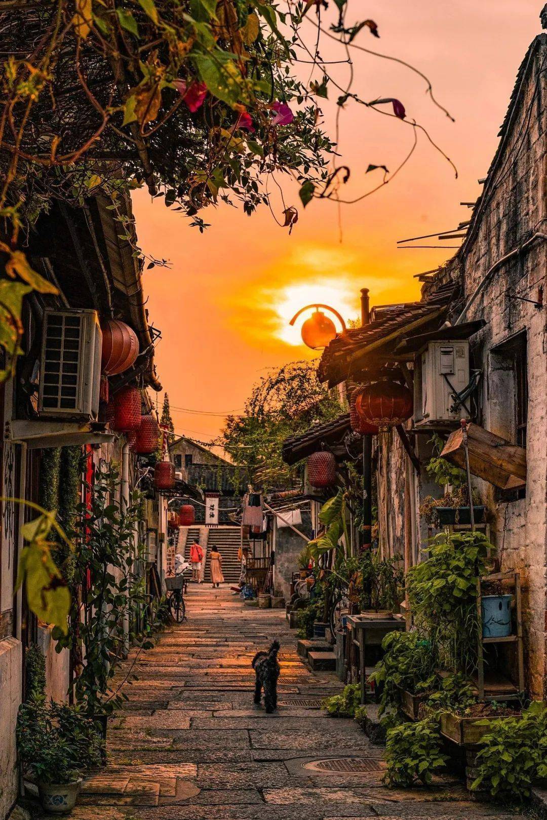 鲁迅故里_历史_风景