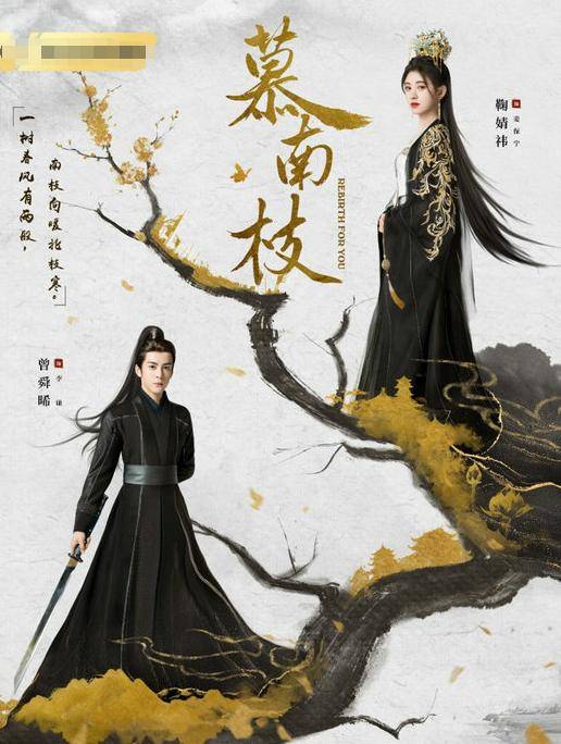 《慕南枝》鞠婧祎曾舜晞共谱励志传奇画卷_人物_保宁_剧集