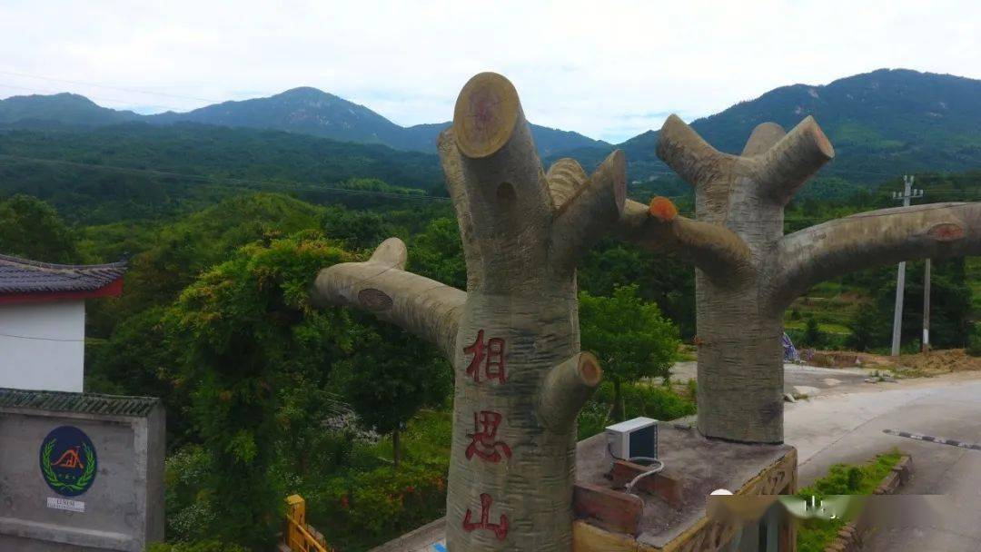 国庆七天乐·岳阳县 | 来相思山开启假期美好时光