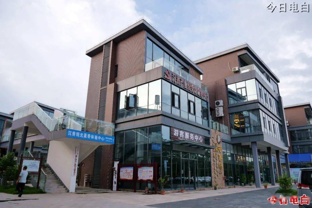 观珠境内:电白沉香省级现代农业产业园有大"野心"!_观光_直播_中国