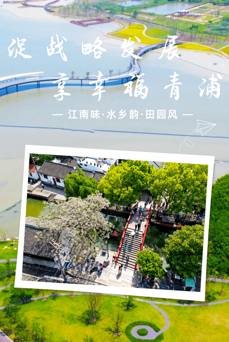 一条金泽乡村旅游线,走出绿水青山和“金山银山”的生动实践之路_发展_产业_文化