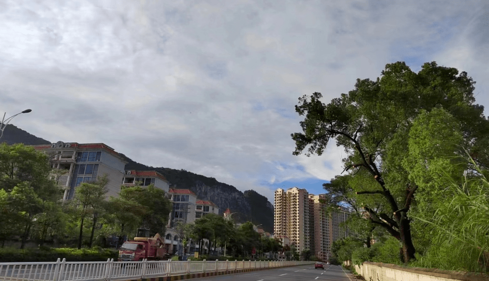 【县乡人大】英德市英红镇人大:小小随手拍,搭建连心桥_群众_问题