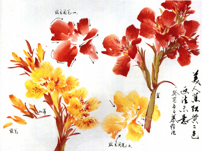 谭老师为你介绍美人蕉的多种国画画法_步骤_线条_胭脂