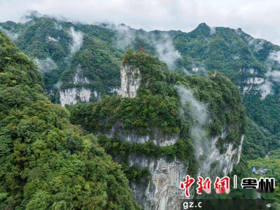 游贵州|大方油杉河 奇峰秀景醉游客_景区_毕节市_风光