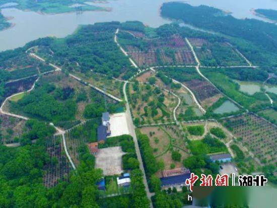 荆门市彭场林场入选“2023年荆门市乡村旅游精品点”名单 