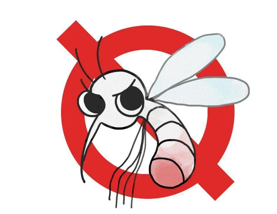 传播_伊蚊_白纹