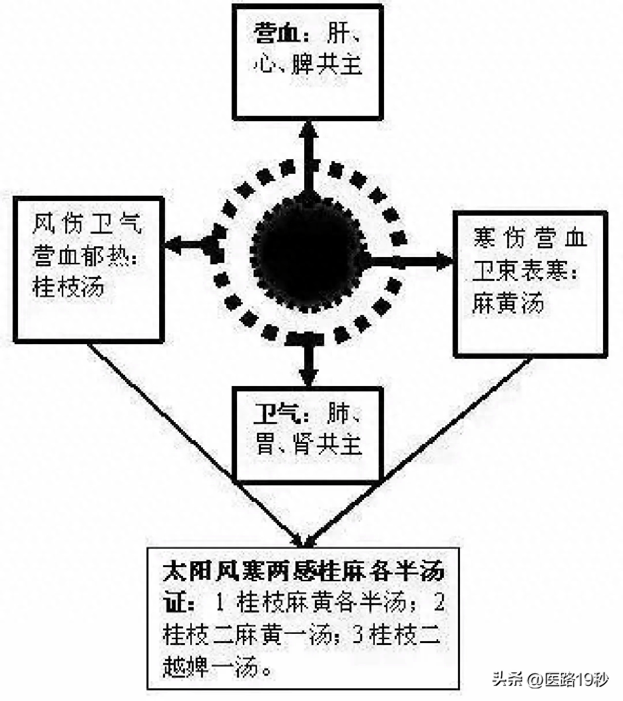 图解张仲景伤寒六经辨证要点!