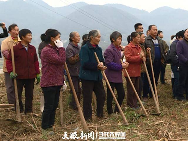 致富种植什么比较赚大钱_致富种植公司董事长_种植致富经