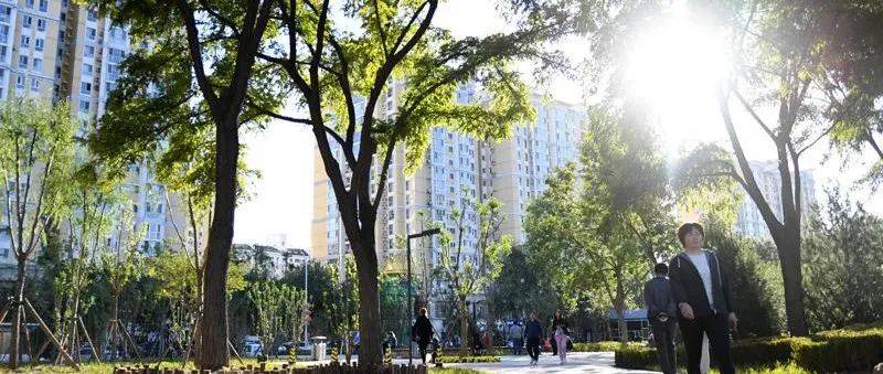 聚焦丨北京:文化擎动城市更新_方庄_街道_服务