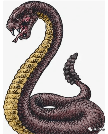 河北白洋淀神秘巴蛇事件!黑蛇青首,状如龙首!是真是假?