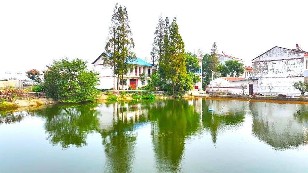 【每周一景】吴铺镇杨店社区_蔡兴望_终审_云梦县