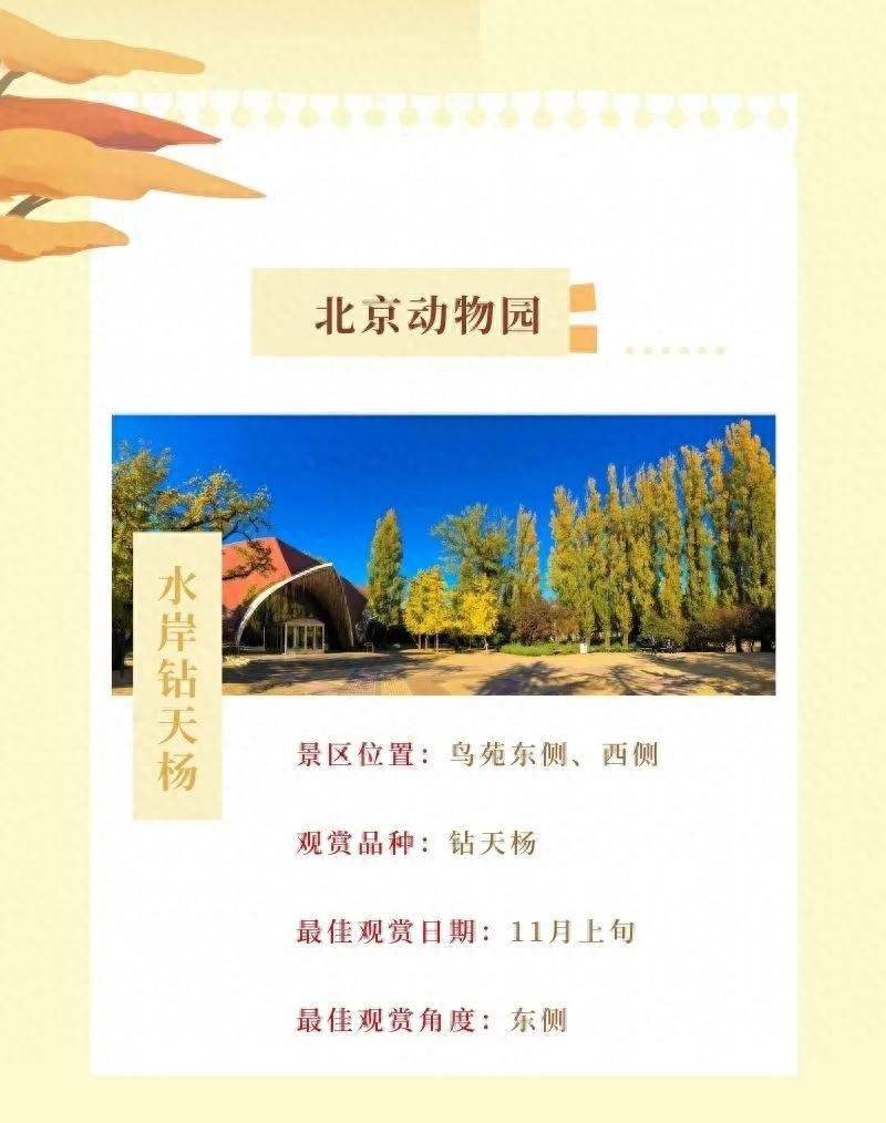 顶点公园内,孩之宝室内娱乐中心包括小猪佩奇,小马宝莉,热火,土豆先生