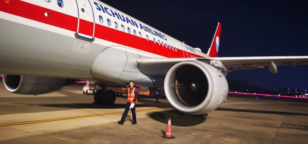 成都飞北京一航班遭鸟击返航 已降落成都双流机场_飞机_曹先生_旅客