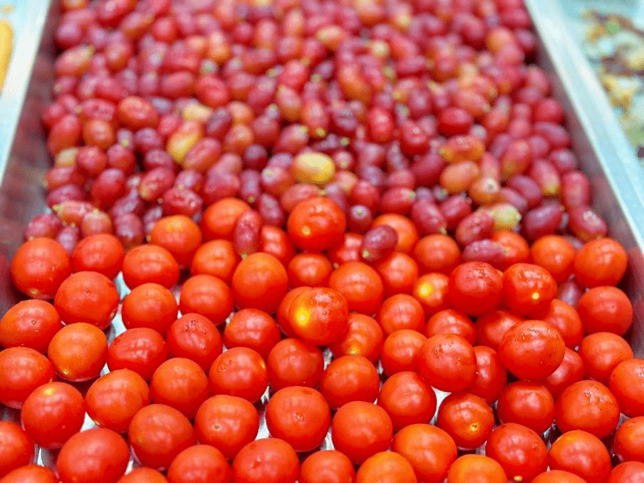 图:谢燕婷,王蓉文:谢燕婷,王蓉,龙宣航historical articles【11年与