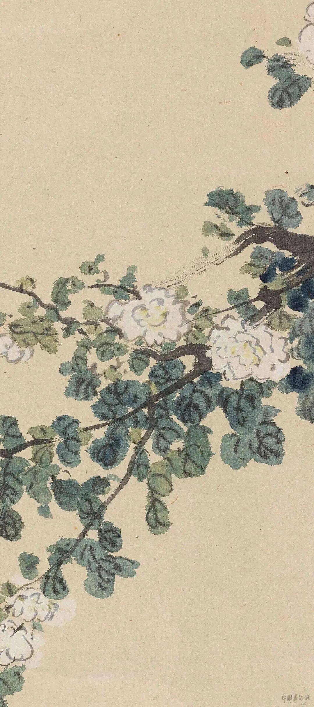 徐悲鸿《木槿》_作品_国画_创作