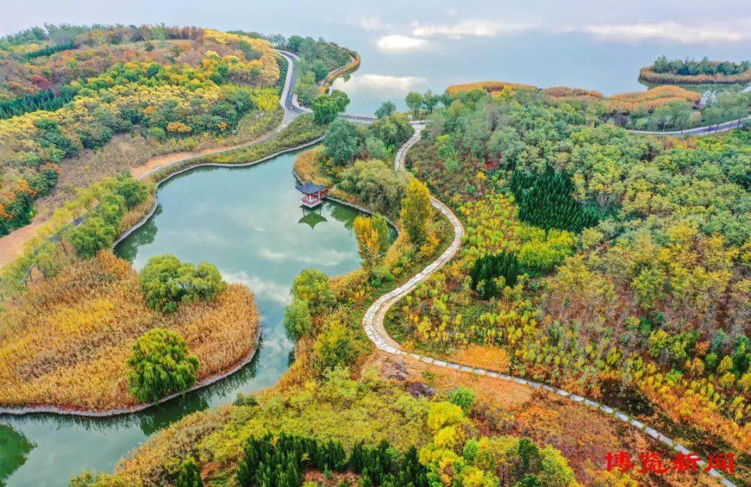 (记者 史章 摄)齐盛湖能满足您对秋天的一切想象小编精选了5处打卡地