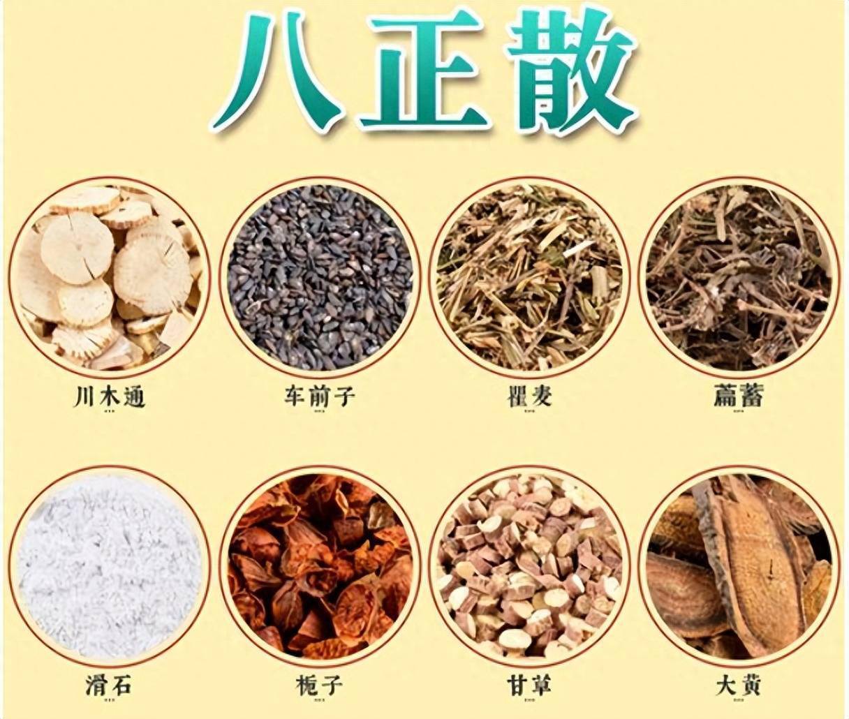 【方名趣谈】本方出自《太平惠民和剂局方》,方名"八正"者,"八",谓本