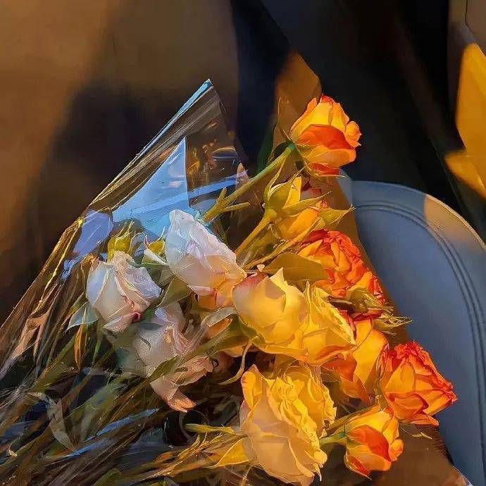 小众背景图 | 好看的wechat背景图更新啦～_不知道_野心_公主