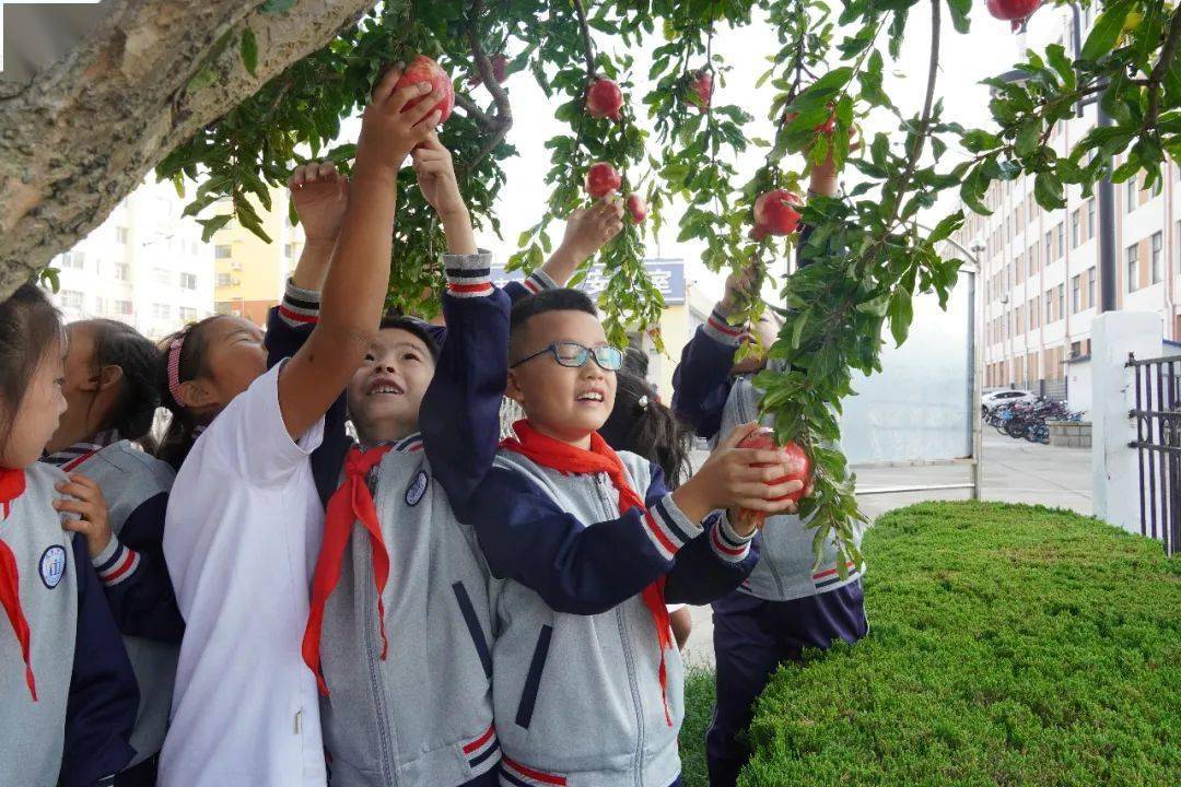 威海温泉小学图片