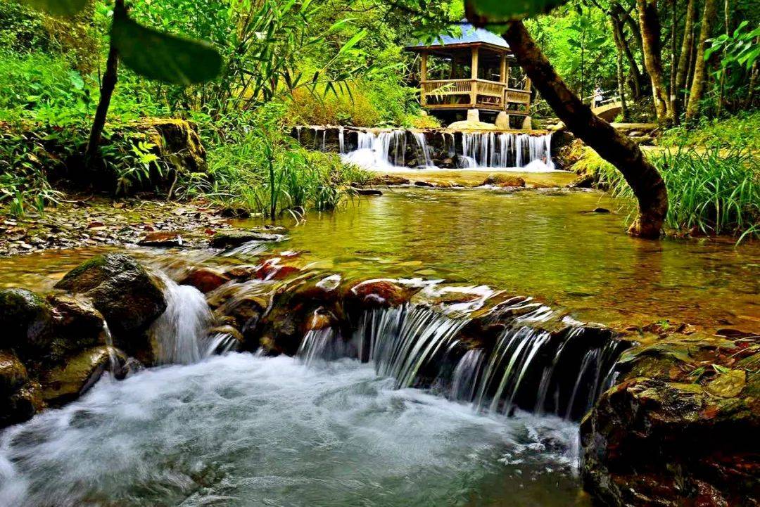 肇庆历史文化知多少(七)_星湖风景区_景点_核心