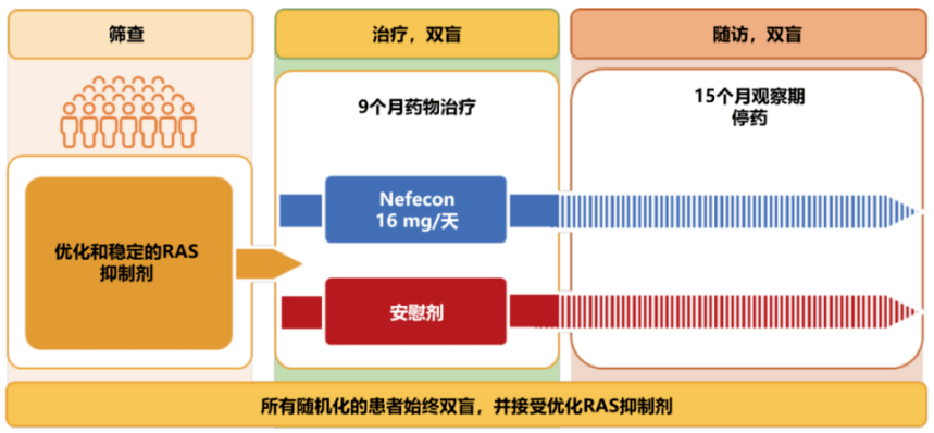 Nefecon Nefecon(耐赋康)三期临床试验显示:无论亚洲人或白种人,Nefecon均有效且耐受性良好!∣IIGANN2023_研究_治疗_NefIgArd