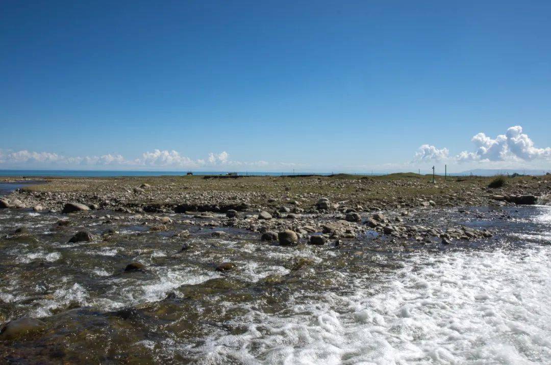 王选最新小说集《彩虹预报员》:从"小故事"叙述中探索人生真谛 | 新