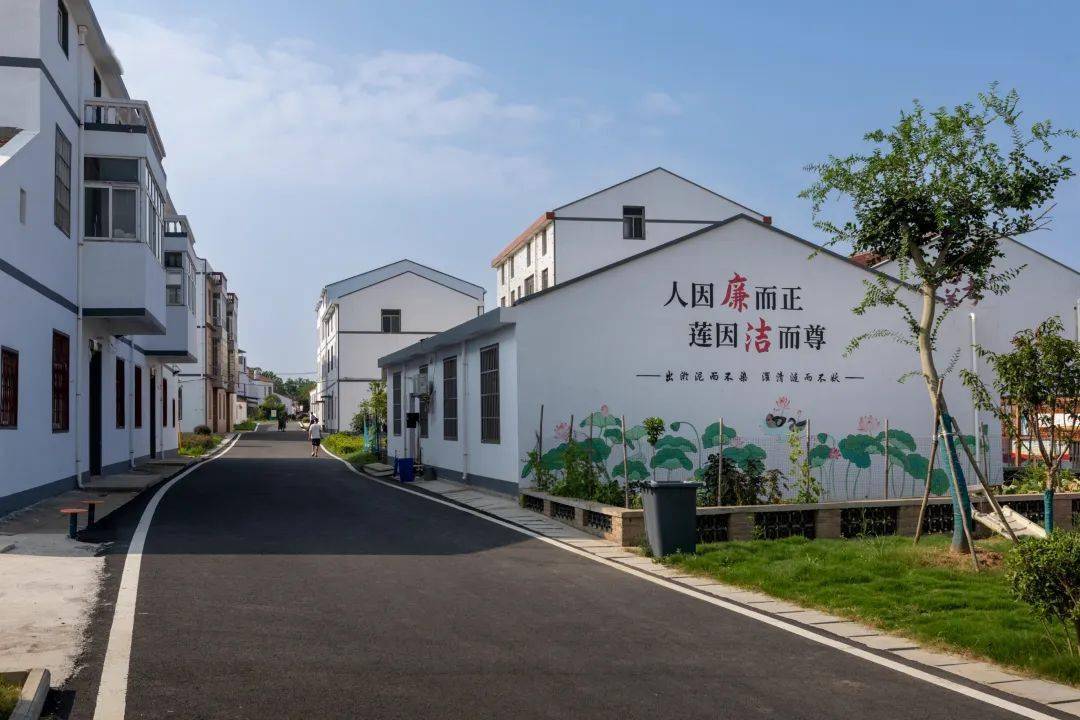 彭鹏《新铺镇新进村》(组照)王磊《杨店镇村民在家门口看戏》杨芳