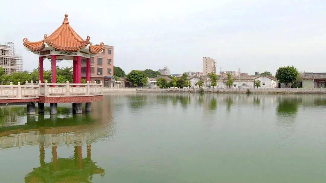 一起来潮州凤塘镇看看→_建设_东龙_村民