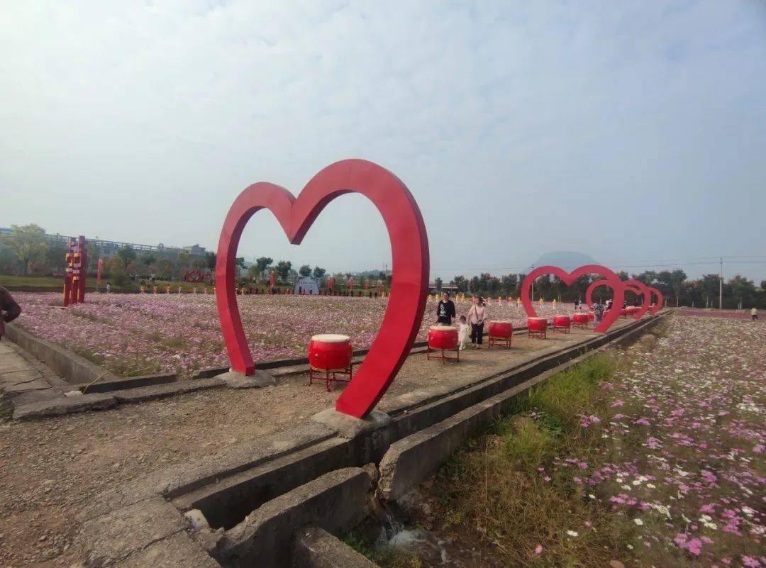 油价又要变!就在……_东阳_来源_中国