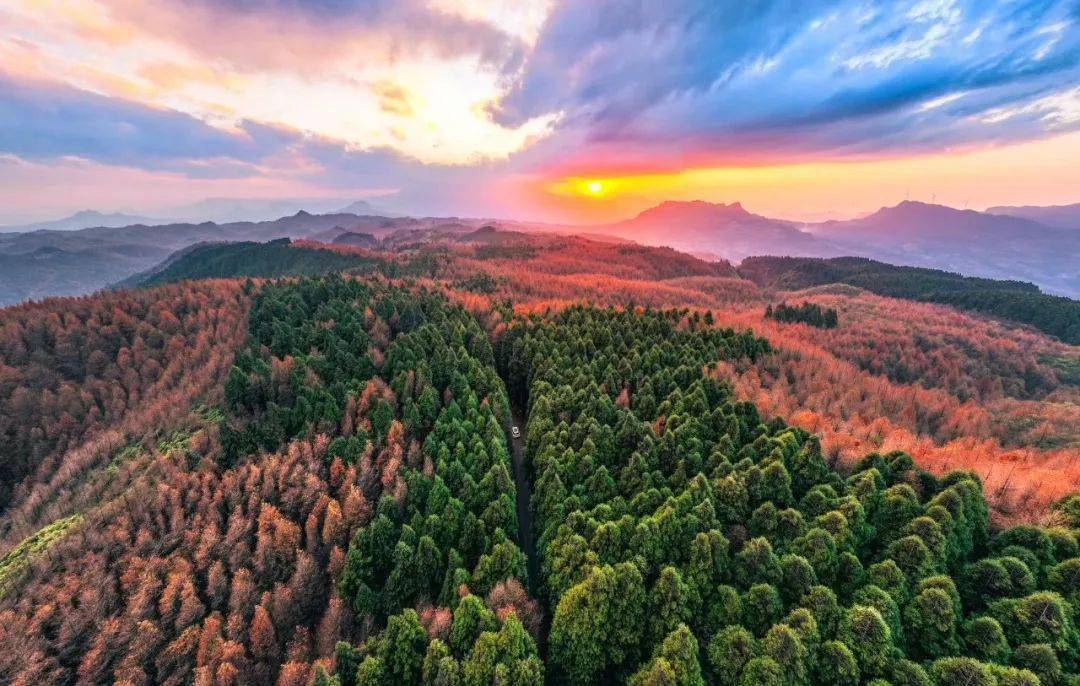 山王坪坐标二*以上套票均不含山顶巴士包含内容:双人金佛山西门门票