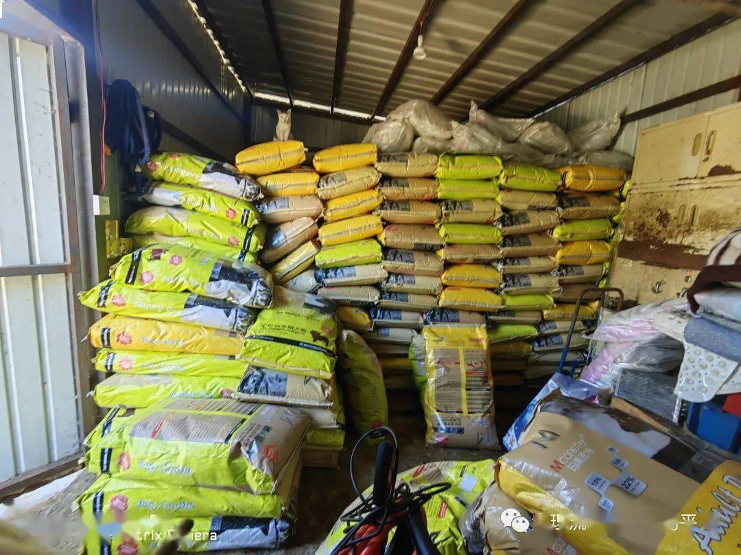 但是平时里,罗哥和小佳也会每半个月去买一次超市里面卖不完又处理不