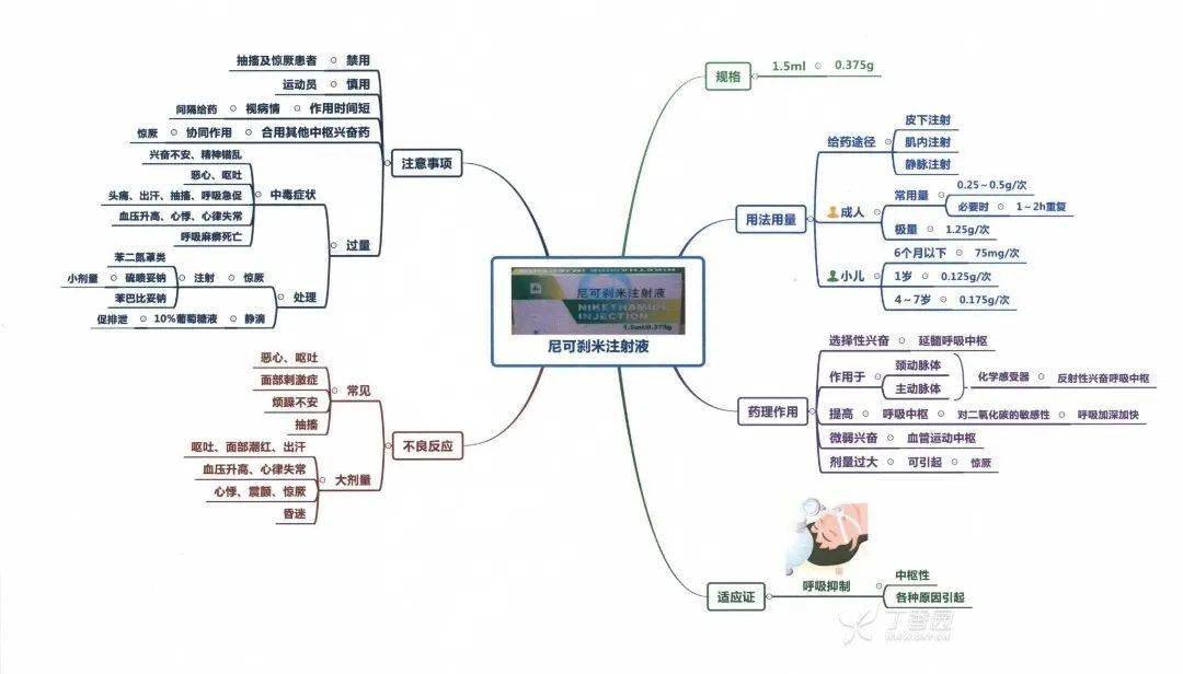 急救知识思维导图简单图片