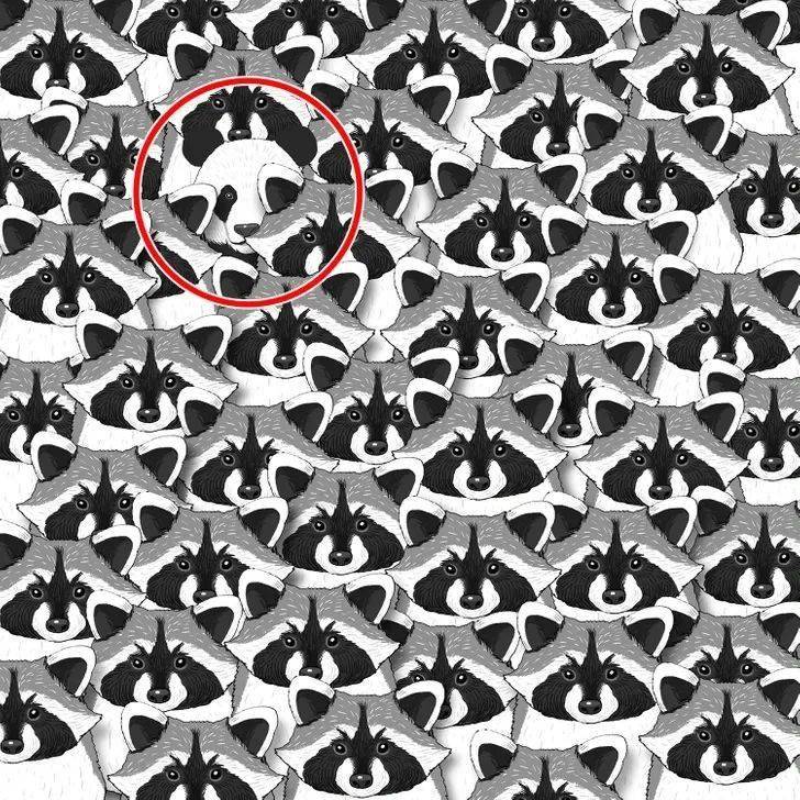 快来这些令人困惑的15张插画中找到隐藏的物品!_寻找_答案_物体