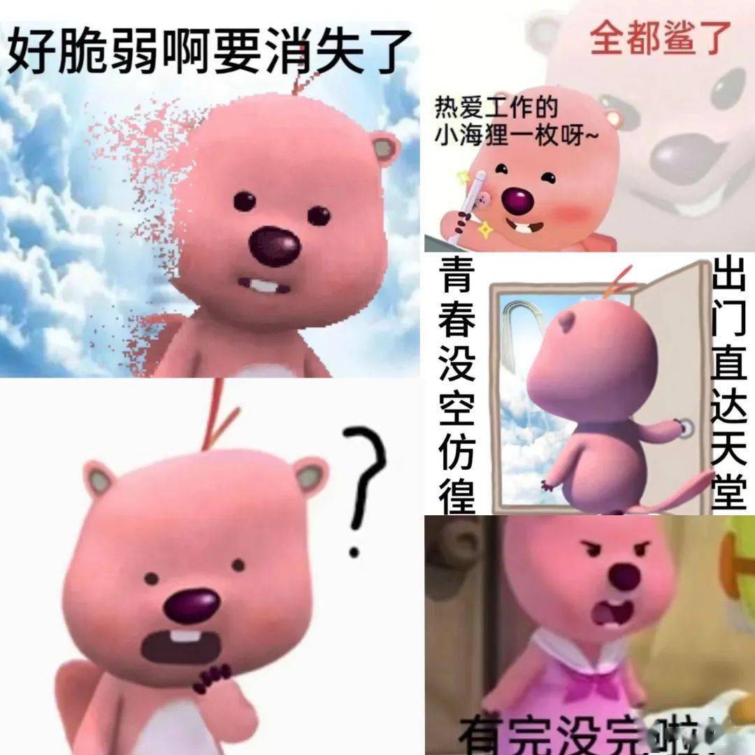 塔罗牌表情包一套全猪图片