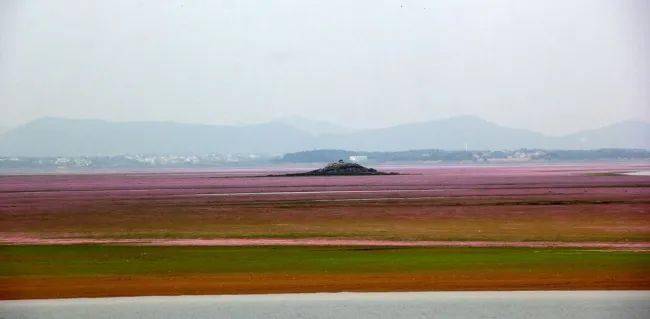 都昌花海图片