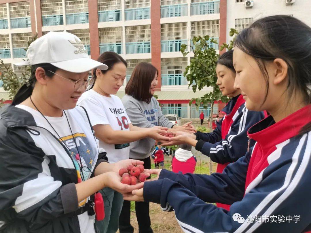 菁菁校园硕果红,欢声笑语响碧空——沁阳市实验中学校园采摘活动_收获